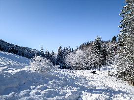 Bavarian Winter Landscape In Oberstaufen