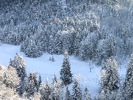 Bavarian Winter Landscape In Oberstaufen