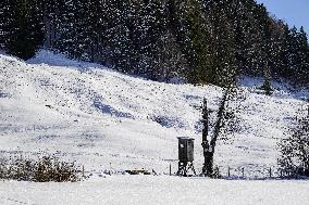 Bavarian Winter Landscape In Oberstaufen