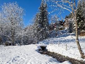 Bavarian Winter Landscape In Oberstaufen