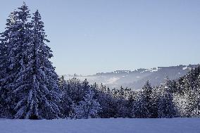 Bavarian Winter Landscape In Oberstaufen