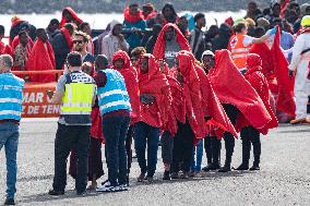 Nearly 240 people arrive in four cayucos to Lanzarote