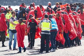 Nearly 240 people arrive in four cayucos to Lanzarote