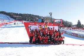 SPORT INVERNALI - Sci Alpino - AUDI FIS Ski World Cup - Downhill - Men