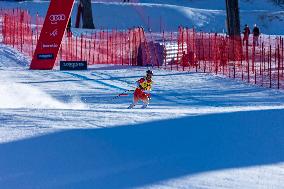 SPORT INVERNALI - Sci Alpino - AUDI FIS Ski World Cup - Downhill - Men