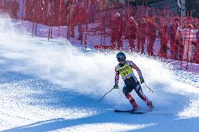 SPORT INVERNALI - Sci Alpino - AUDI FIS Ski World Cup - Downhill - Men