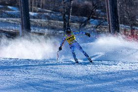 SPORT INVERNALI - Sci Alpino - AUDI FIS Ski World Cup - Downhill - Men