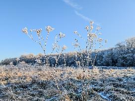 Frosty Winter Landscape In Upper Bavaria