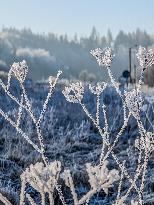 Frosty Winter Landscape In Upper Bavaria