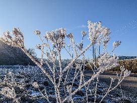 Frosty Winter Landscape In Upper Bavaria