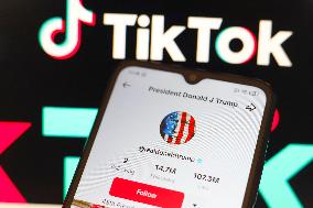 President Donald Trump Profile And TikTok Illustrations