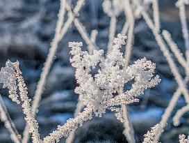 Frosty Winter Landscape In Upper Bavaria