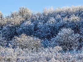 Frosty Winter Landscape In Upper Bavaria