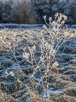 Frosty Winter Landscape In Upper Bavaria