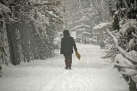 Heavy Snowfall Disrupts Life In Kashmir