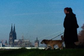 Frost Weather In Cologne