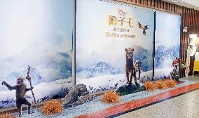 China Movie Box Office