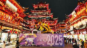 2025 Year of the Snake Yu Garden Lantern Festival First Lights Up