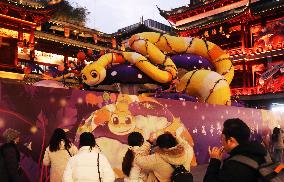 2025 Year of the Snake Yu Garden Lantern Festival First Lights Up