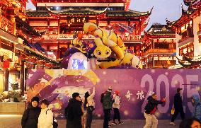 2025 Year of the Snake Yu Garden Lantern Festival First Lights Up