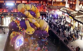 2025 Year of the Snake Yu Garden Lantern Festival First Lights Up