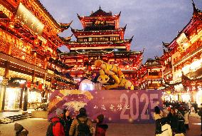 2025 Year of the Snake Yu Garden Lantern Festival First Lights Up