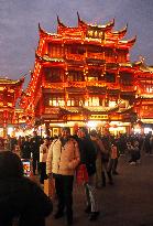 2025 Year of the Snake Yu Garden Lantern Festival First Lights Up