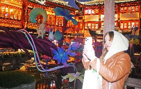 2025 Year of the Snake Yu Garden Lantern Festival First Lights Up