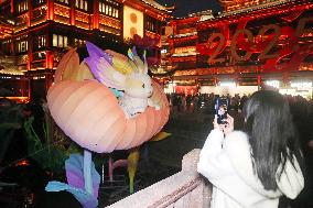 2025 Year of the Snake Yu Garden Lantern Festival First Lights Up