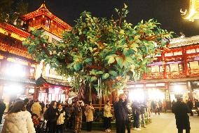 2025 Year of the Snake Yu Garden Lantern Festival First Lights Up