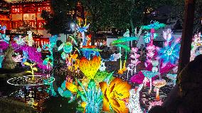 2025 Year of the Snake Yu Garden Lantern Festival First Lights Up