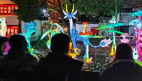 2025 Year of the Snake Yu Garden Lantern Festival First Lights Up