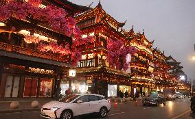 2025 Year of the Snake Yu Garden Lantern Festival First Lights Up