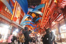 2025 Year of the Snake Yu Garden Lantern Festival First Lights Up