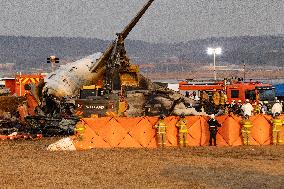 The Muan Airport Plane Crash Is Suspected To Have Been Caused By A Bird Strike