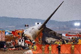 The Muan Airport Plane Crash Is Suspected To Have Been Caused By A Bird Strike