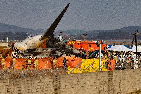 The Muan Airport Plane Crash Is Suspected To Have Been Caused By A Bird Strike