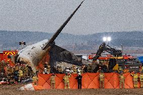 The Muan Airport Plane Crash Is Suspected To Have Been Caused By A Bird Strike