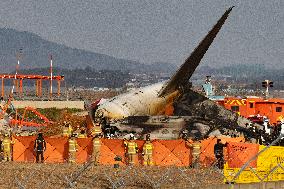 The Muan Airport Plane Crash Is Suspected To Have Been Caused By A Bird Strike