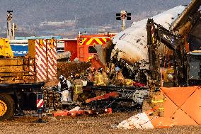 The Muan Airport Plane Crash Is Suspected To Have Been Caused By A Bird Strike