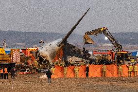 The Muan Airport Plane Crash Is Suspected To Have Been Caused By A Bird Strike