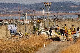 The Muan Airport Plane Crash Is Suspected To Have Been Caused By A Bird Strike