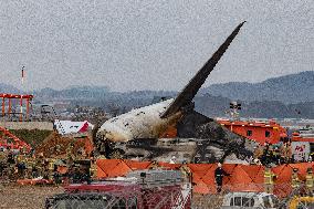 The Muan Airport Plane Crash Is Suspected To Have Been Caused By A Bird Strike