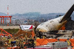 The Muan Airport Plane Crash Is Suspected To Have Been Caused By A Bird Strike