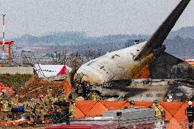 The Muan Airport Plane Crash Is Suspected To Have Been Caused By A Bird Strike