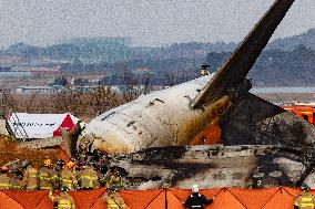 The Muan Airport Plane Crash Is Suspected To Have Been Caused By A Bird Strike