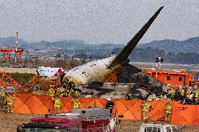 The Muan Airport Plane Crash Is Suspected To Have Been Caused By A Bird Strike