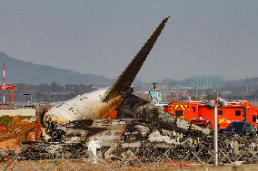 The Muan Airport Plane Crash Is Suspected To Have Been Caused By A Bird Strike