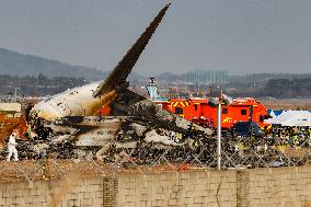 The Muan Airport Plane Crash Is Suspected To Have Been Caused By A Bird Strike