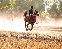 Traditional Horse Racing Competition In Bangladesh